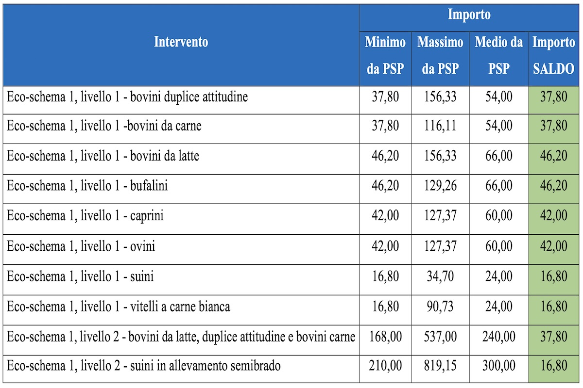 Gli importi dei saldi sono indicati nella colonna verde a destra - Agea